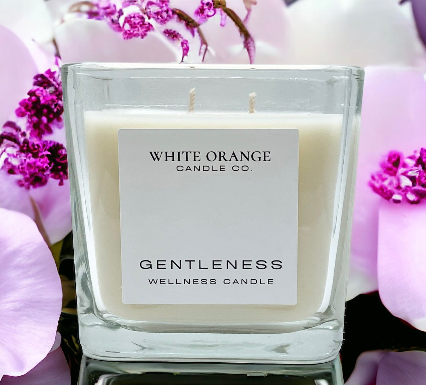 Gentleness Wellness Candle